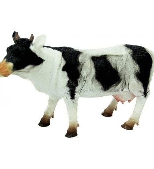 Çiftlik Hayvanı (İnek)
