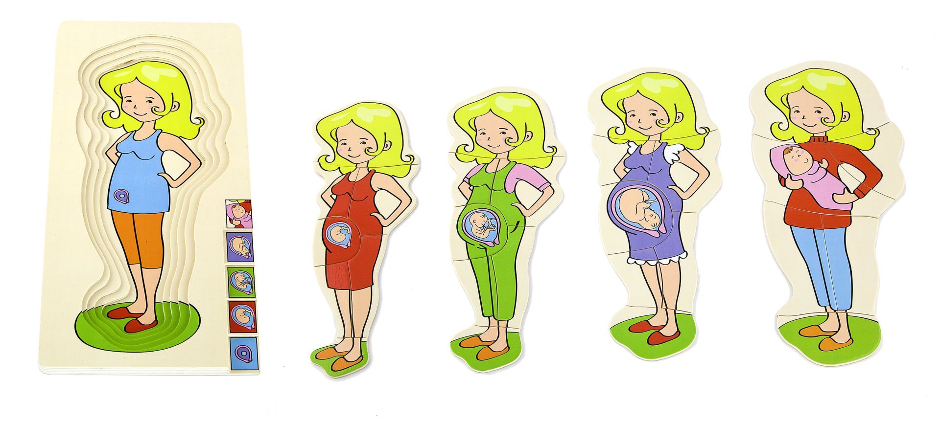 hamile-gelisim-puzzle-1.jpg Hamile Gelişim Puzzle - Görsel 1