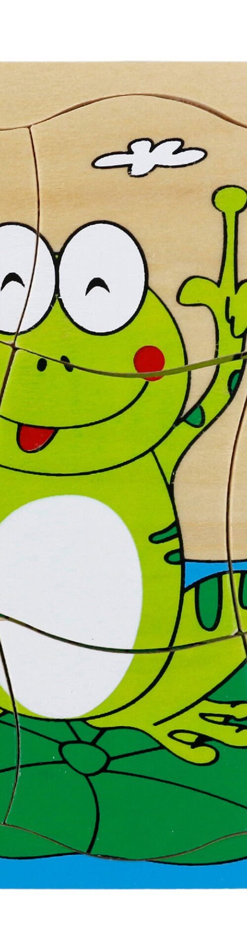 Kurbağa Gelişim Evreleri Puzzle
