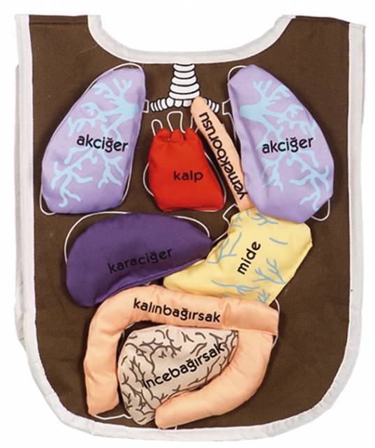 organ-onlugu-kumas-1.jpg Organ Önlüğü Kumaş - Görsel 1