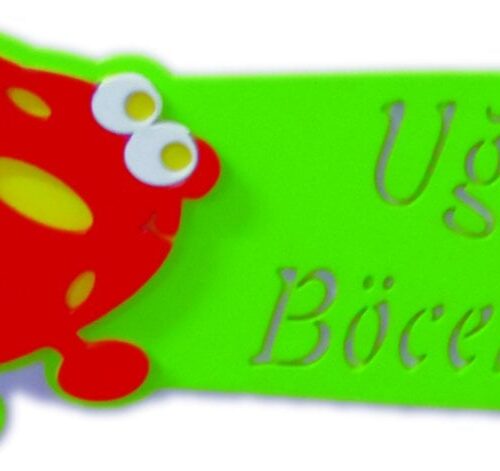 Sınıf İsimliği Uğur Böcekleri