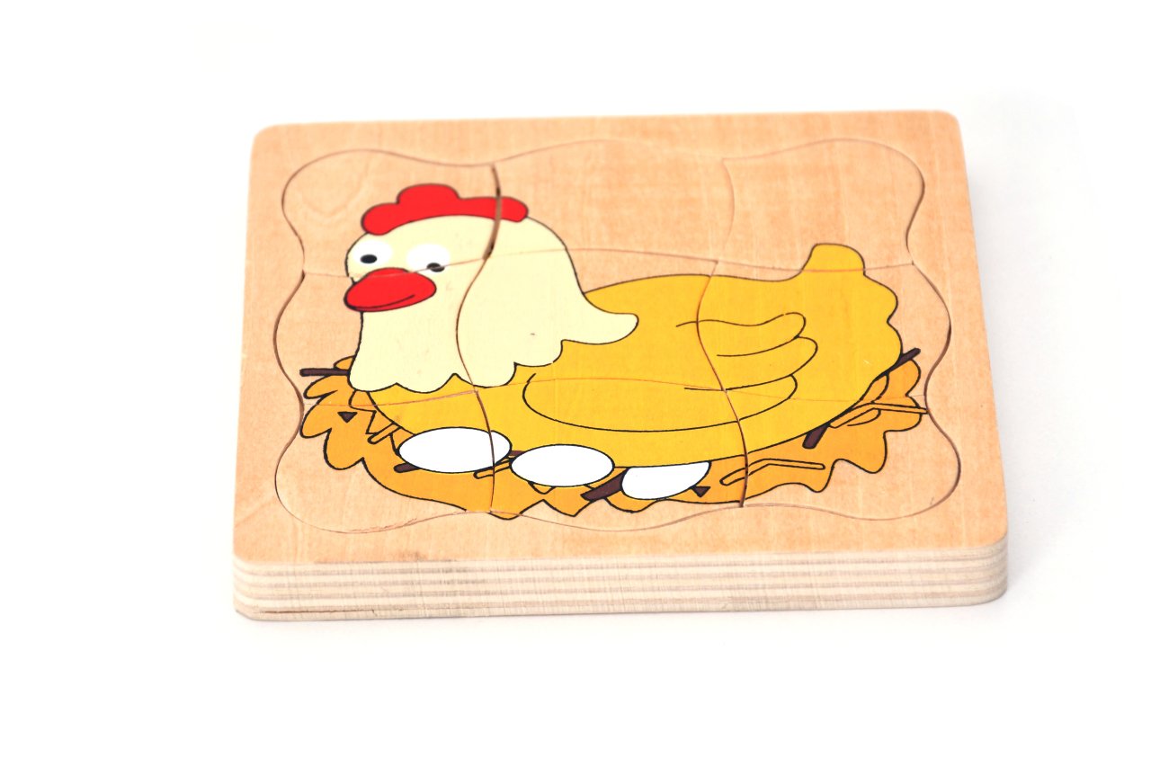 tavuk-gelisim-evreleri-puzzle-1.jpg Tavuk Gelişim Evreleri Puzzle - Görsel 1